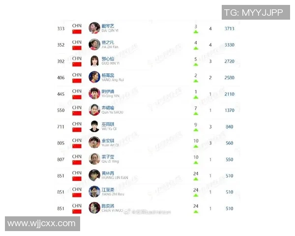 南京羽毛球队在全国羽毛球意识排行榜中荣获第九名的佳绩引发关注