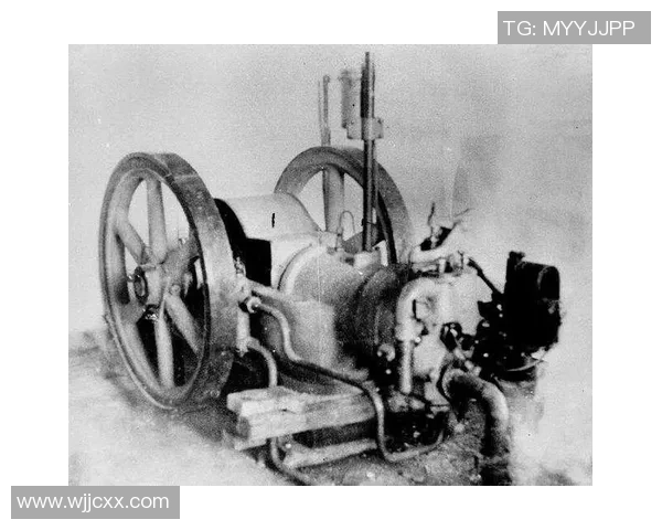 武汉排球队的崛起之路：从默默无闻到精英赛的辉煌历程